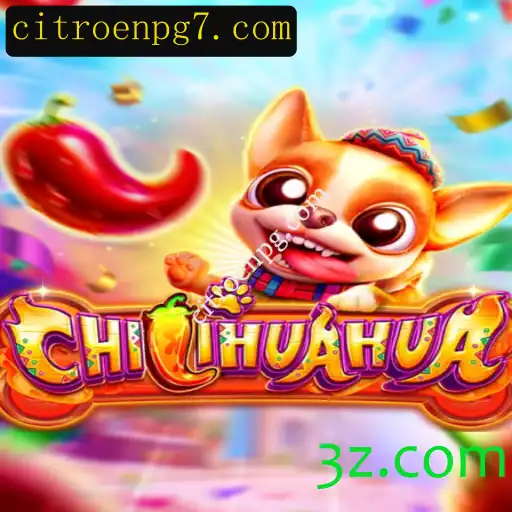 Descubra o Fascinante Mundo de CHILIHUAHUA