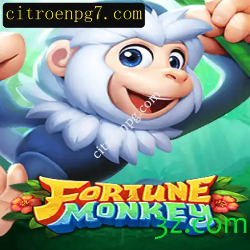 FortuneMonkey: Descubra o Mundo Envolvente do Novo Jogo Interativo