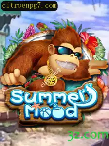 SummerMood: A Experiência de Jogo que Transcende Estações